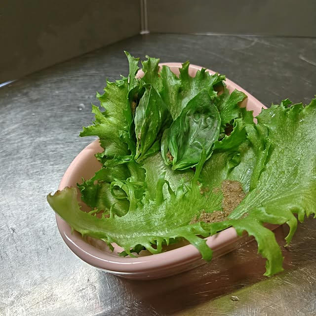 mariaさんの部屋