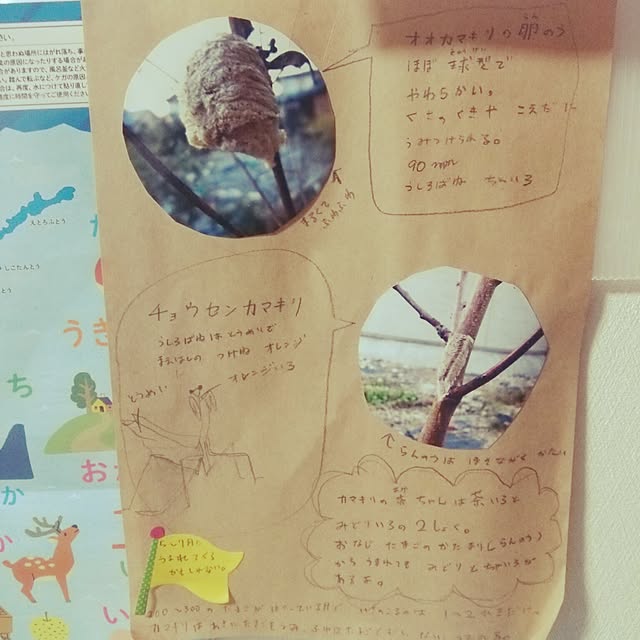 yun0603さんの実例写真