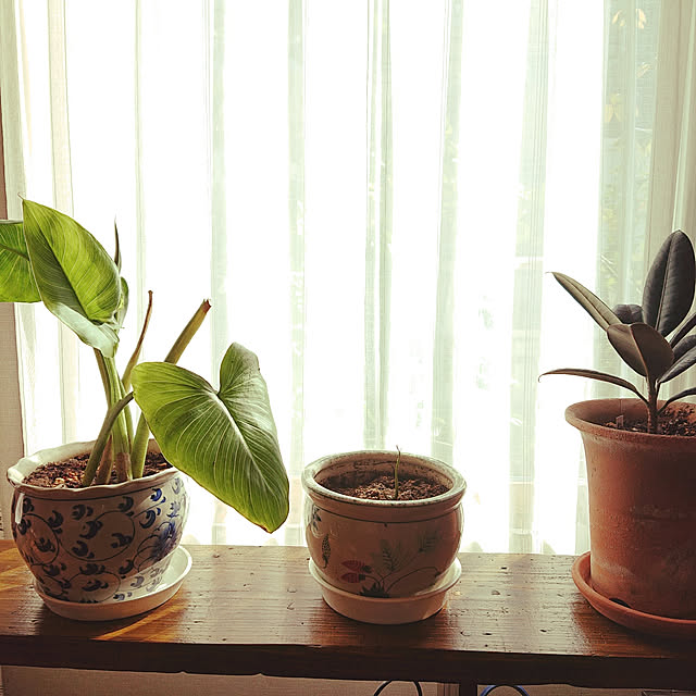 botanさんの実例写真