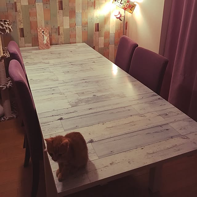miyamiさんの実例写真