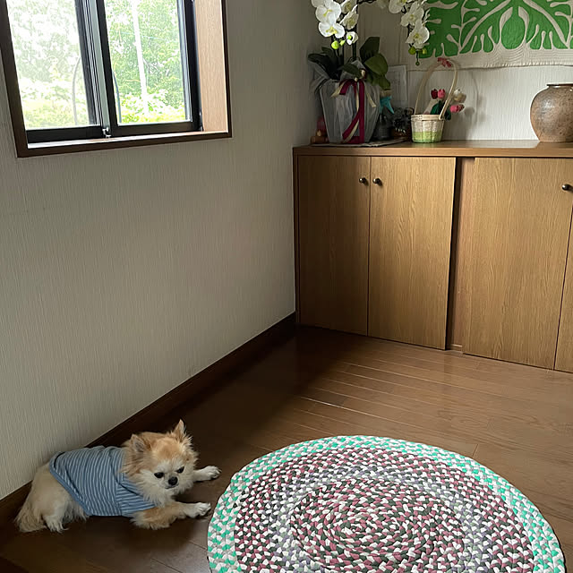 natsumiさんの実例写真