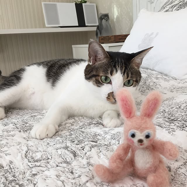 yuchiさんの実例写真