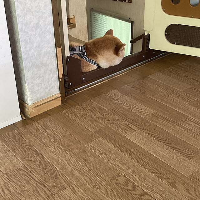 luckyさんの実例写真