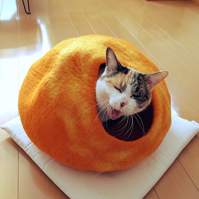 tacomozさんの実例写真