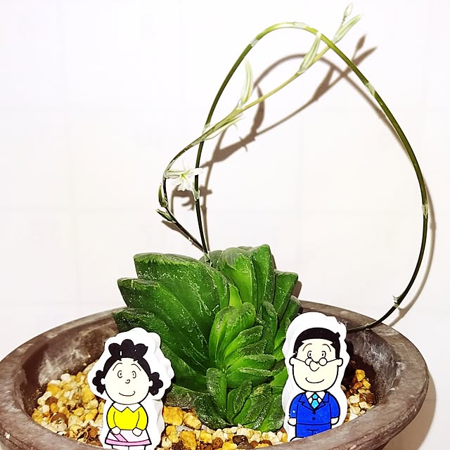 katさんの部屋