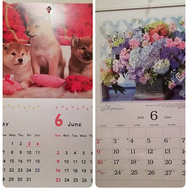 Tomopさんの実例写真