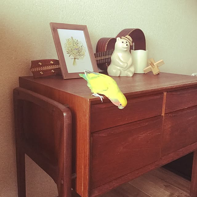 srpさんの実例写真