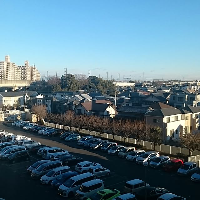 実例写真