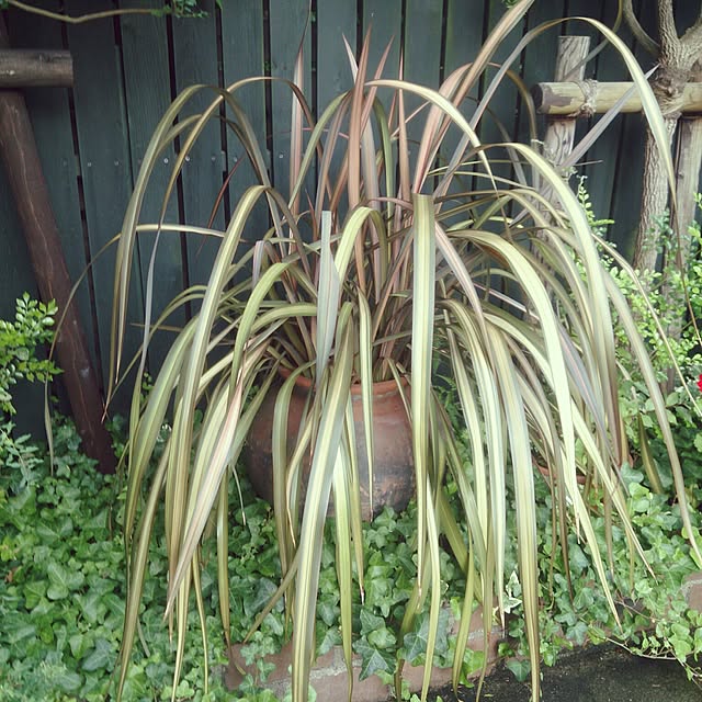 kazu0905さんの実例写真