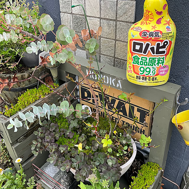 Vakiさんの実例写真