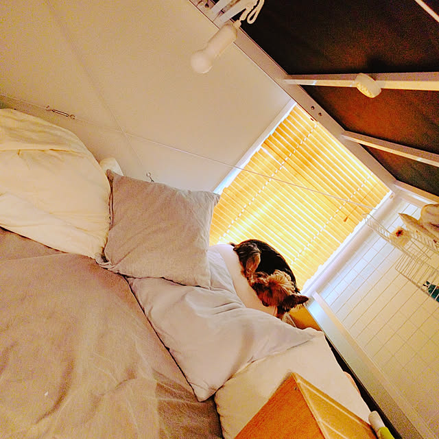 keikomokonさんの実例写真
