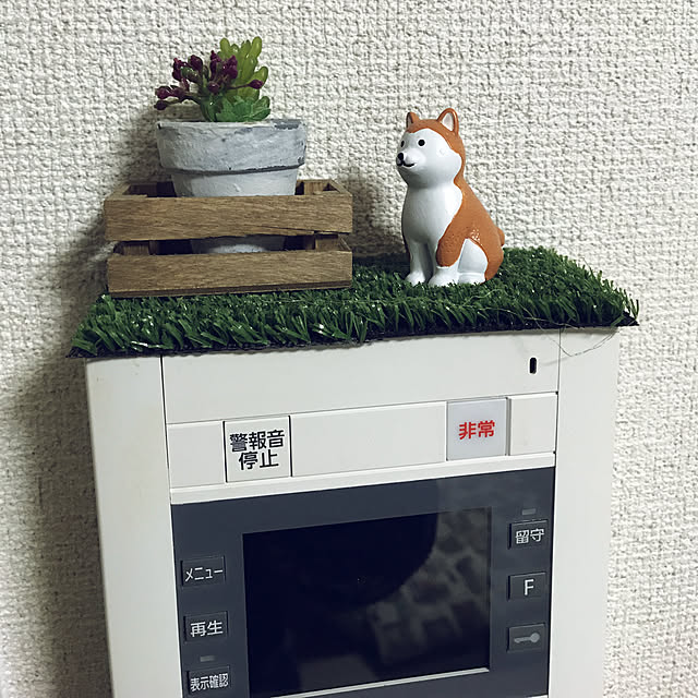 実例写真