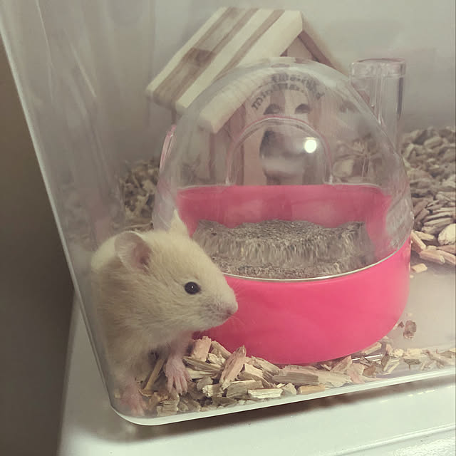 38さんの実例写真