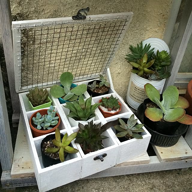 coraruさんの実例写真