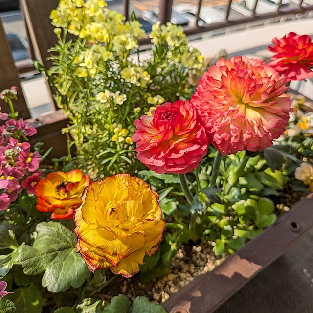 mi-saさんの実例写真