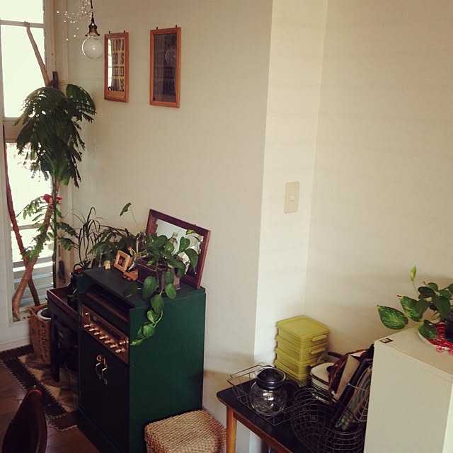 botanさんの実例写真