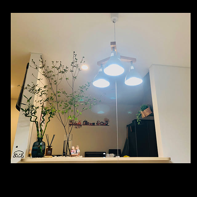 実例写真