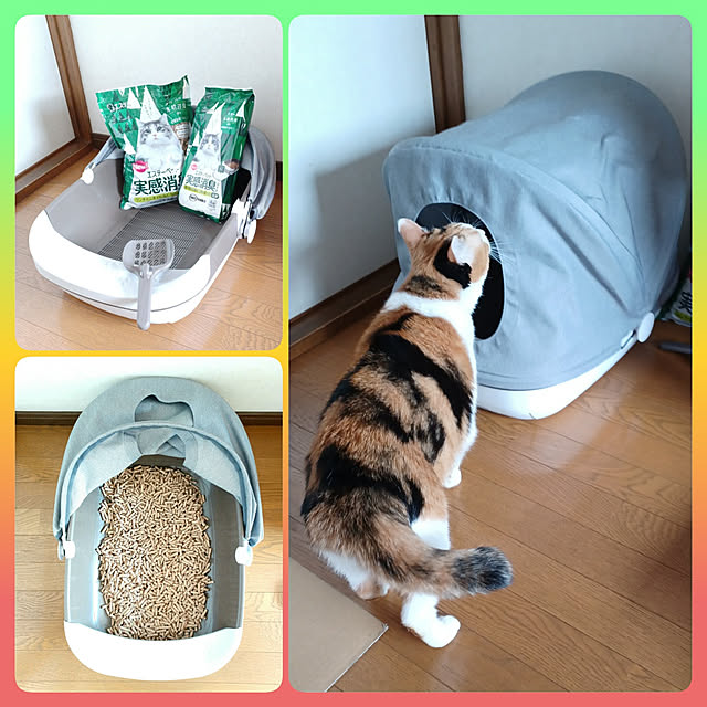 nanaさんの実例写真