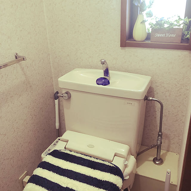 100均/ダイソー/バス/トイレのインテリア実例 - 2021-01-28 22:48:16