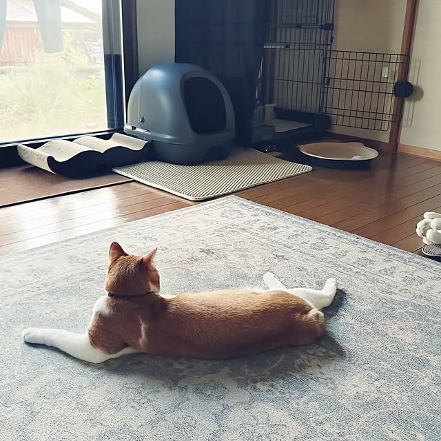 seezさんの実例写真