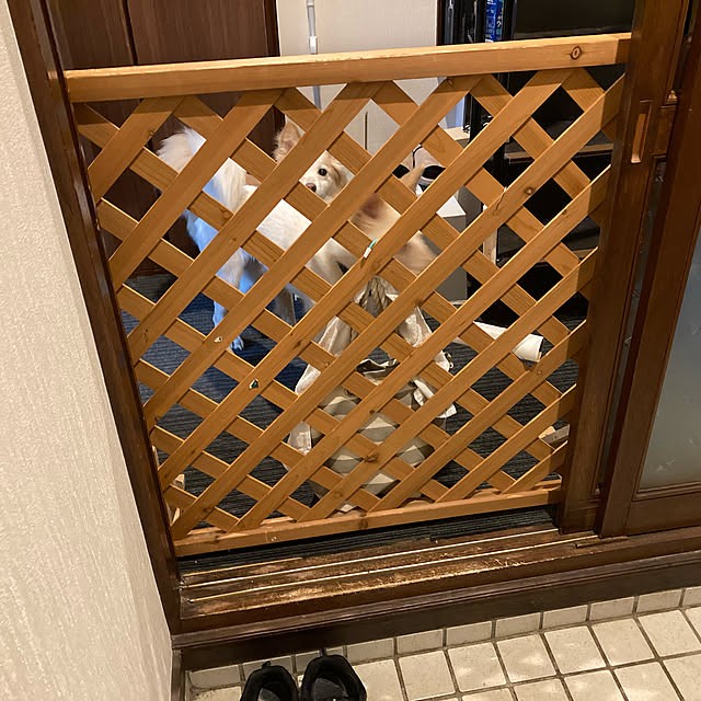 cheminさんの実例写真