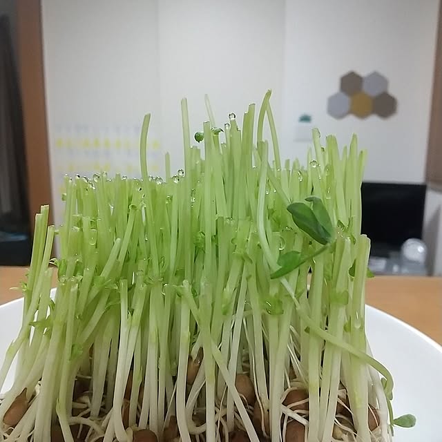 iku-yoneさんの実例写真