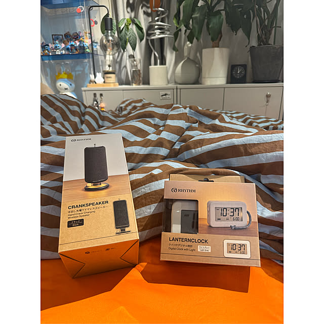 pippiさんの実例写真