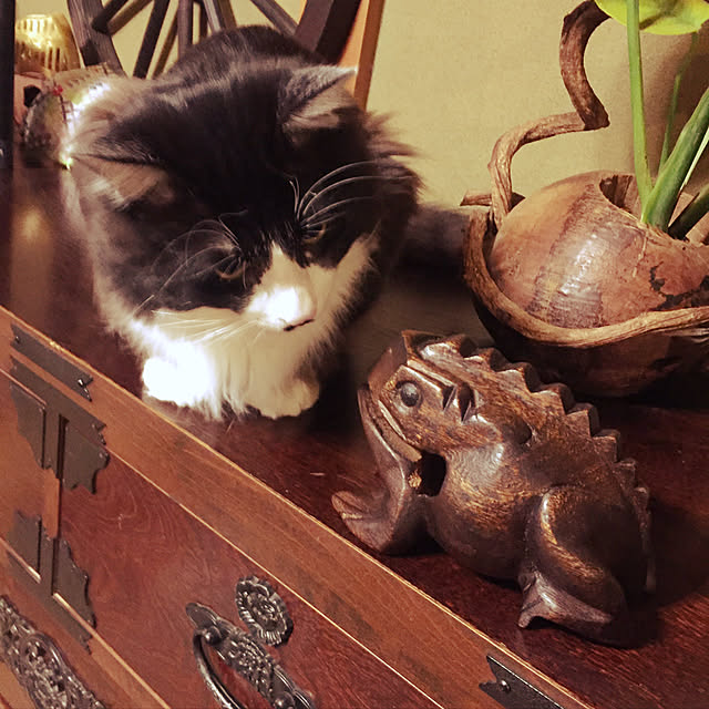 実例写真