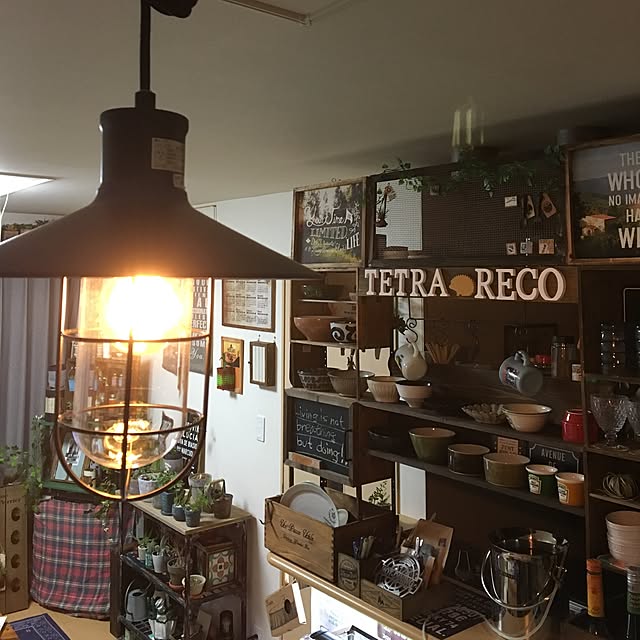 tetra163さんの実例写真