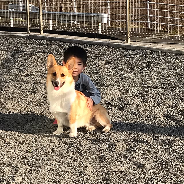 Emiさんの実例写真