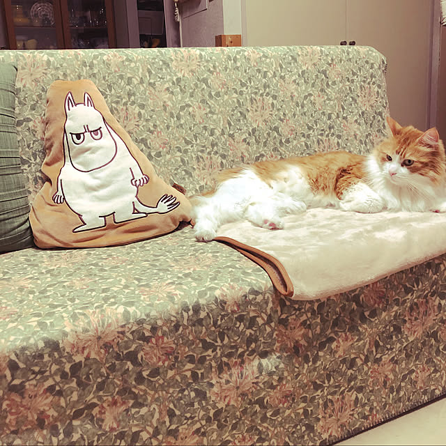 uchidaizuさんの実例写真