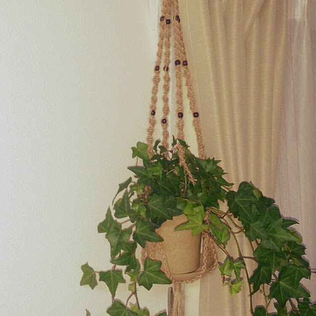 Shokoさんの実例写真