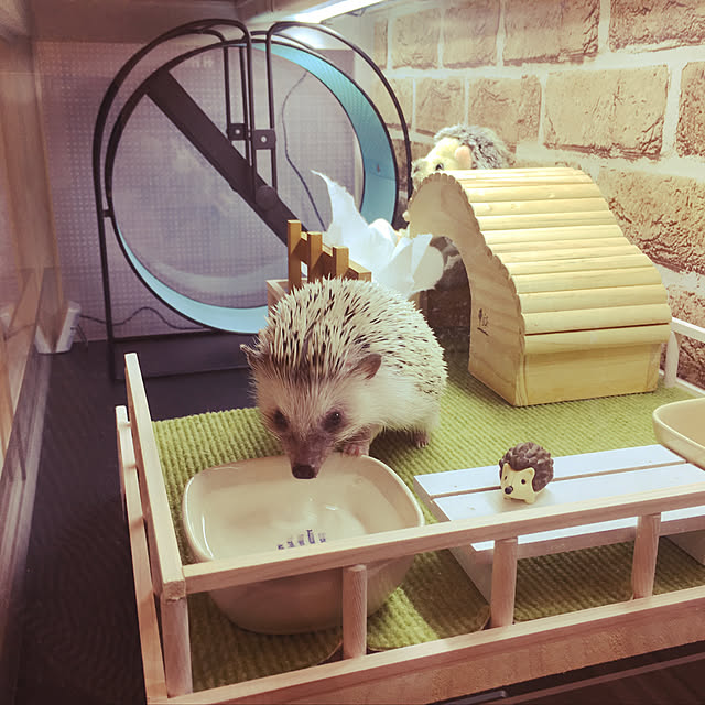 .kiyoさんの実例写真