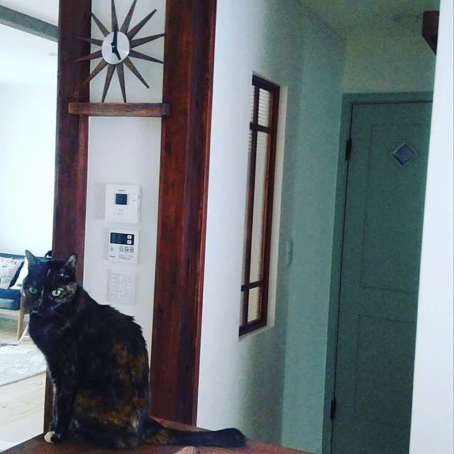 実例写真