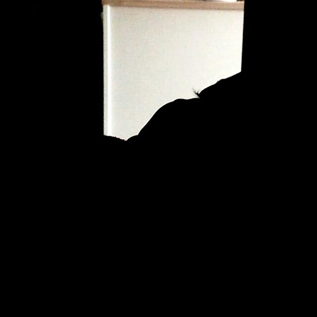 Sukeさんの実例写真