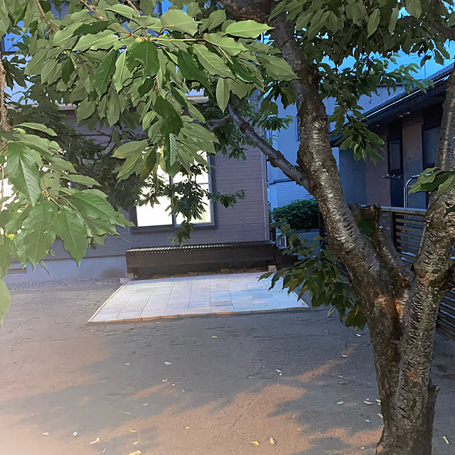 norihisakanaiさんの実例写真