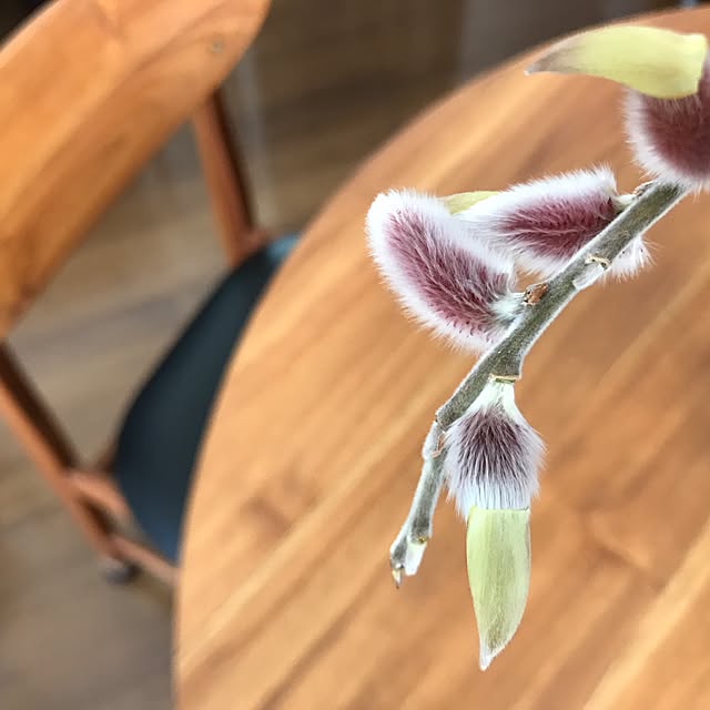 kokko3さんの実例写真