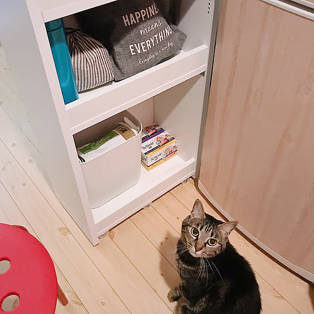 ineko_kさんの実例写真