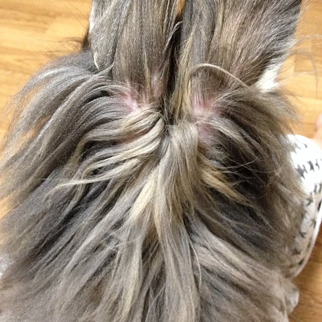 8717さんの実例写真