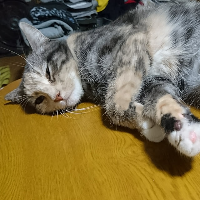 shinobuさんの実例写真
