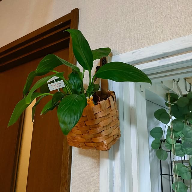mori_6_12さんの実例写真