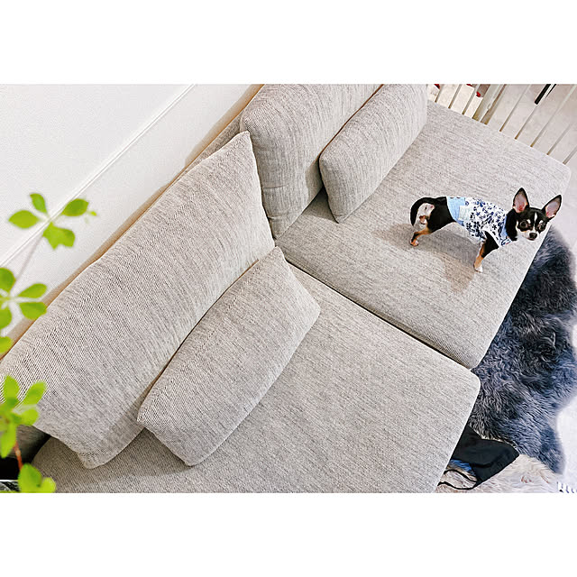 flysheepさんの部屋