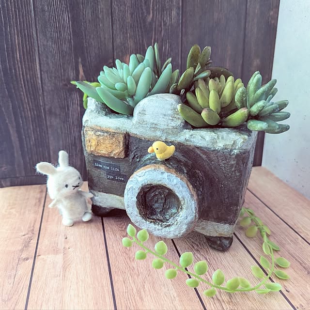 noahさんの部屋