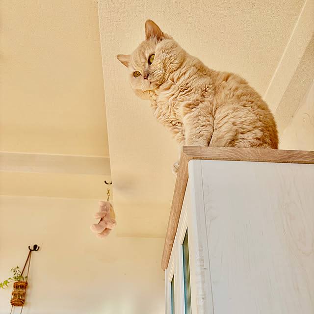 naokoさんの部屋