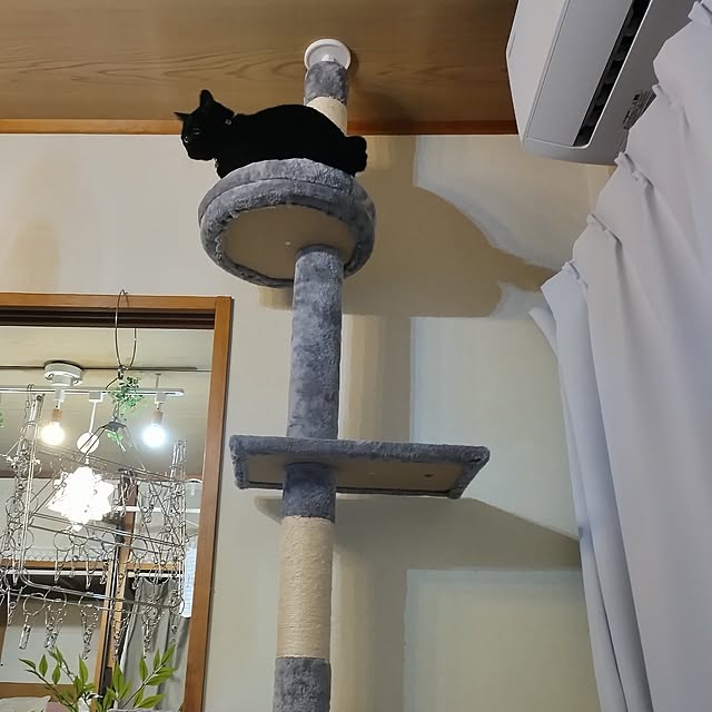 Tさんの実例写真
