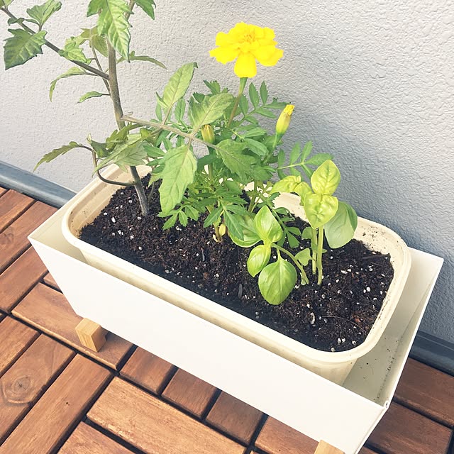 walkeyさんの実例写真