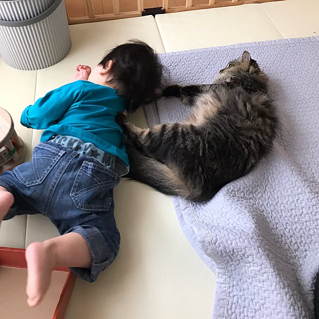 yuki0511さんの実例写真