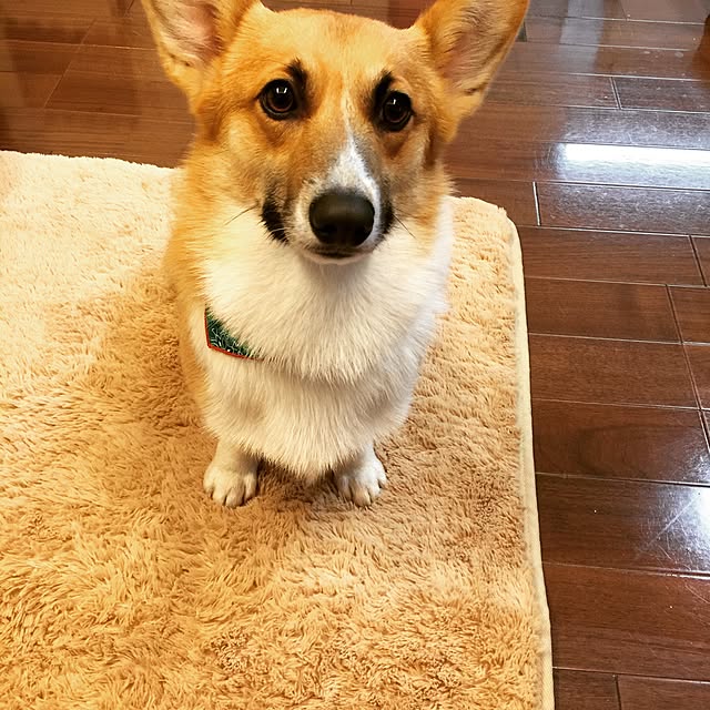 Emiさんの実例写真