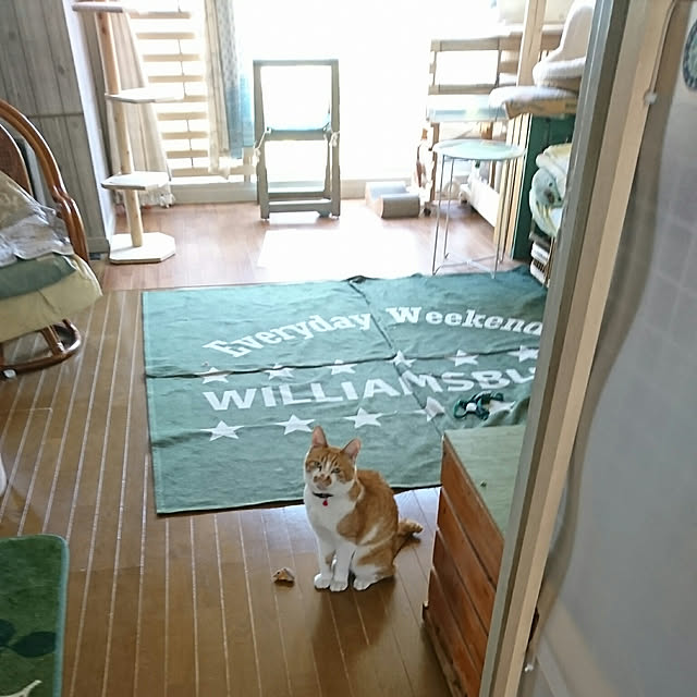 SHIHOさんの実例写真