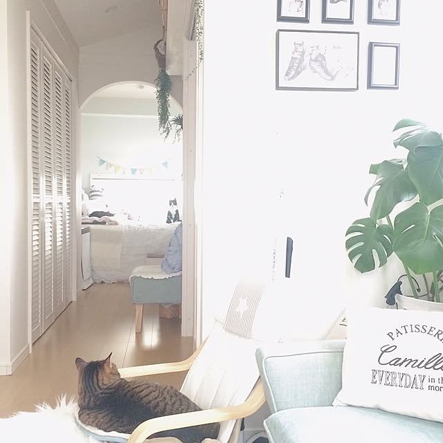 lovecatさんの実例写真